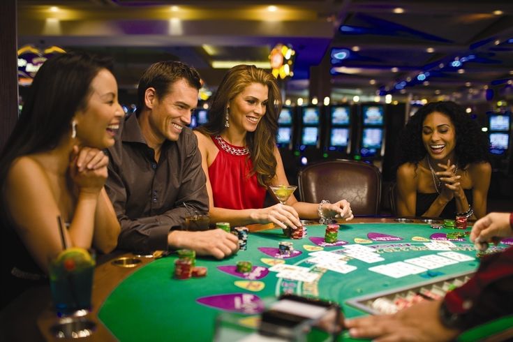 Animal Slot Live Casino